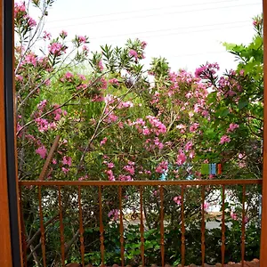 https://villa-poseidon.aegeanhotels.net